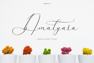 Amalyara: The Elegant Script Font for Campaigns That Demand Attention