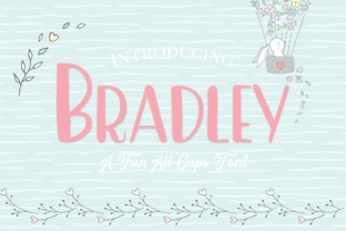 Bradley: A Fun and Friendly Sans Serif Font for Makers