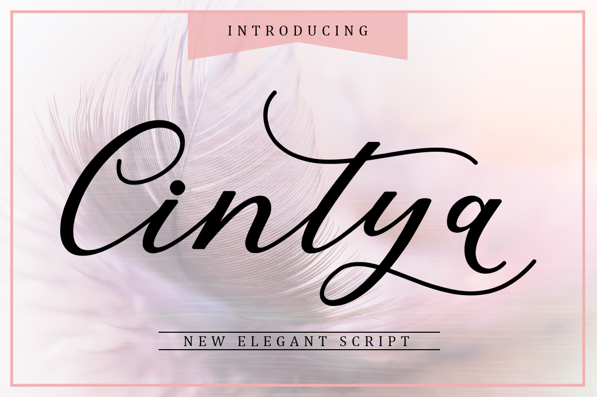 Cintya: A Designer's Favorite for Elegant Brand Typography