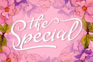 Enhance Your Brand with The Special Script Font