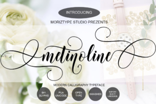 Metinoline Script: A Premium Handwritten Font for Digital Branding