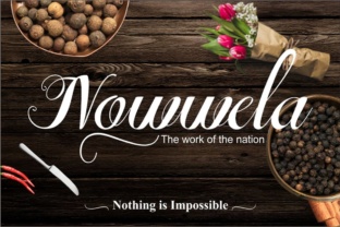 Nowwela: A Luxurious Script Font for Editorial Impact