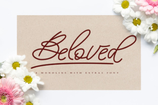 The Beloved Script Font for Marketers and Digital Creators
