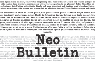 The Neo Bulletin Font Family in Modern Web Design