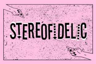The Stereofidelic Font in Real Branding Projects